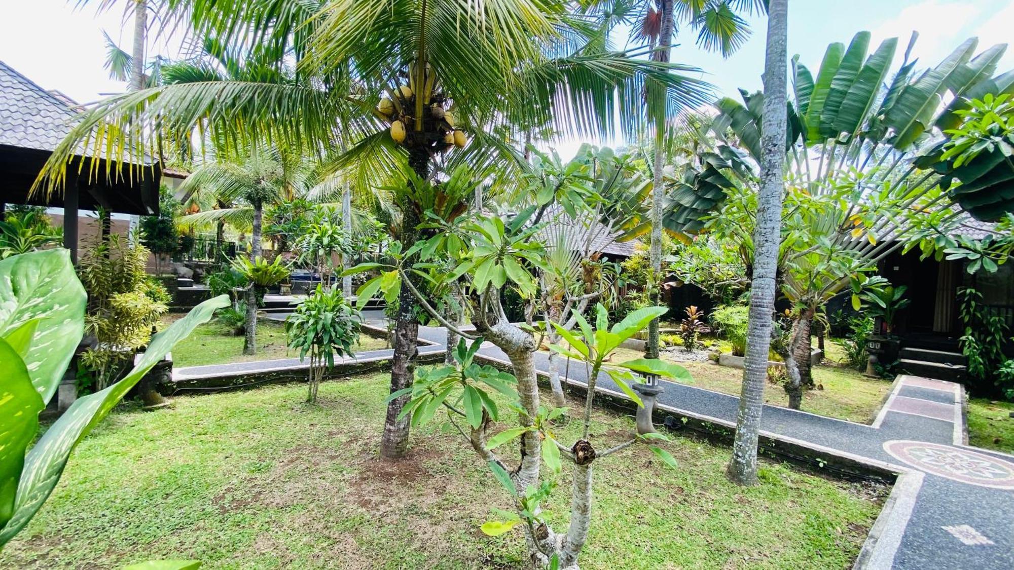Dong Loka Guesthouse Bali Carangsari Exterior photo